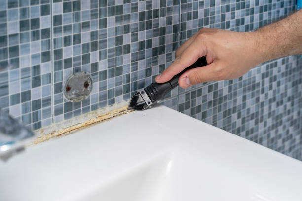 Best Mold Testing  in Tatamy, PA