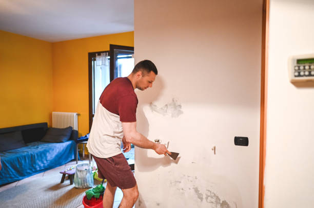 Best Best Mold Removal Companies  in Tatamy, PA